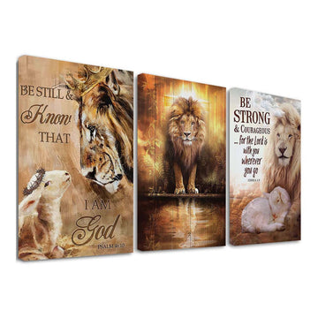 3pcs Lion Lion of Juda Framed Canvas Printing