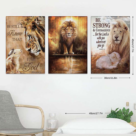 3pcs Lion Lion of Juda Framed Canvas Printing