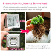 H406fe6c0094147f0bcc0440e0681e588L - Uniquely Yours Designs