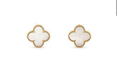 Elegant clover-shaped mother-of-pearl stud earrings with gold beaded trim, sparking curiosity.