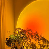 Inviting home décor with leafy plant casting artistic shadow in warm orange sunset lighting